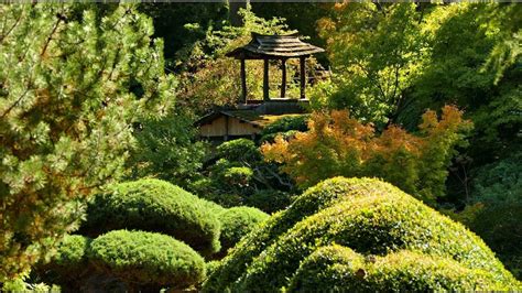 eric borja|jardin japonais zen drôme.